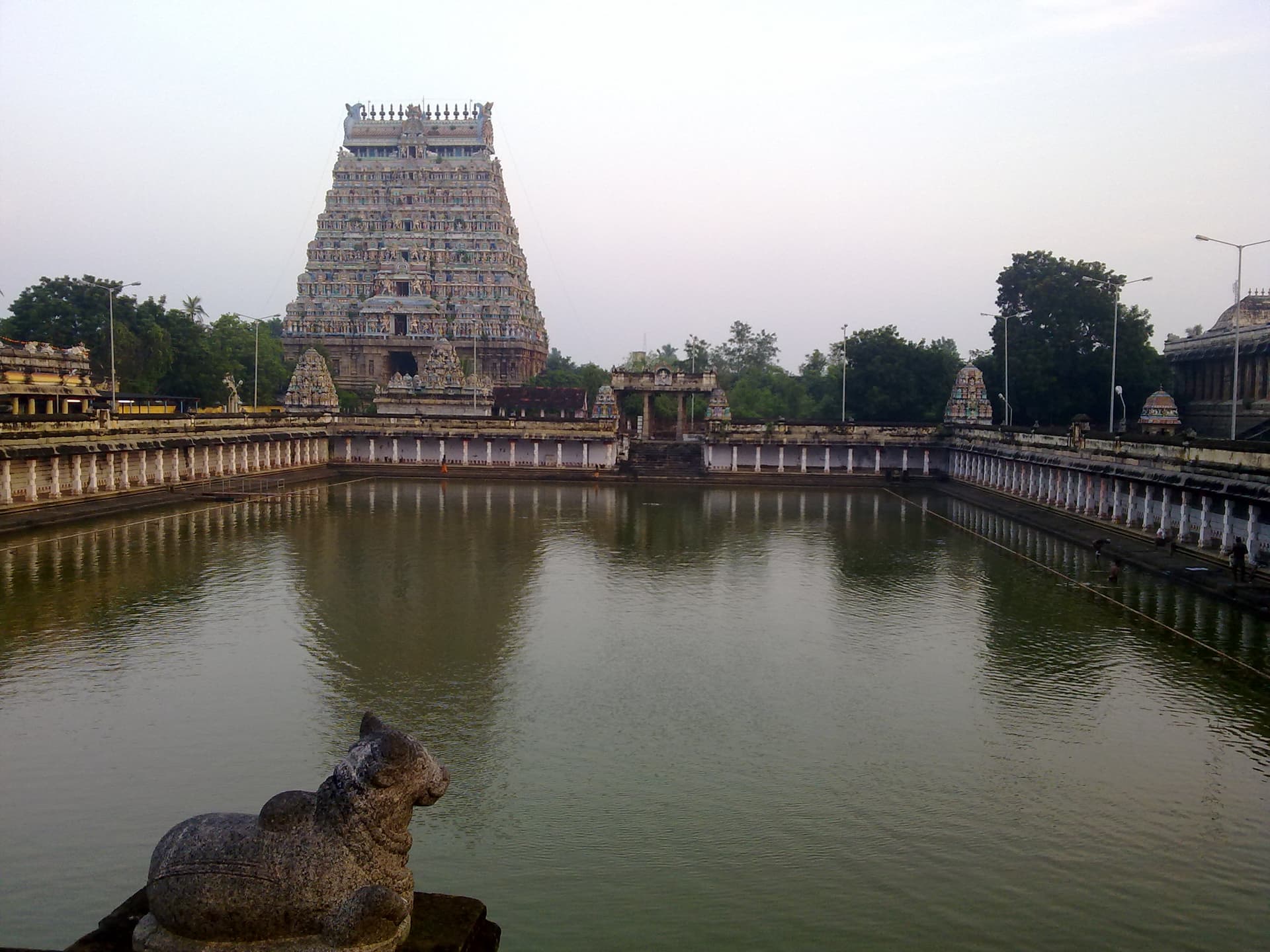 Tirupati's Premier Hotels Near Sri Govindaraja Swamy Temple